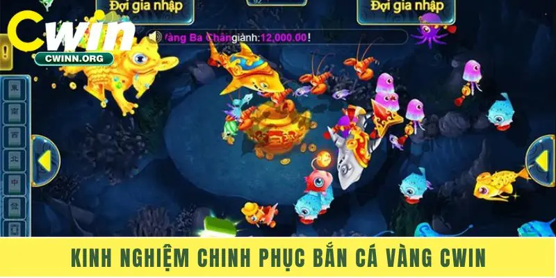 Kinh nghiệm chinh phục bắn cá vàng Cwin
