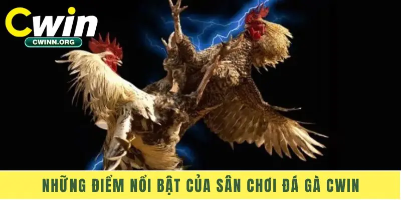 Những điểm nổi bật của sân chơi đá gà Cwin