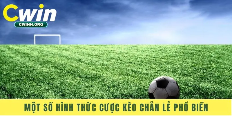 Một số hình thức cược kèo chẵn lẻ phổ biến