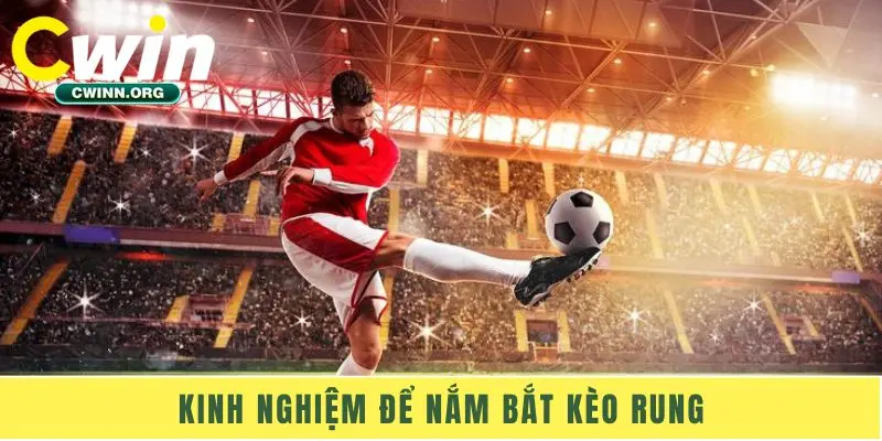 Kinh nghiệm để nắm bắt kèo rung