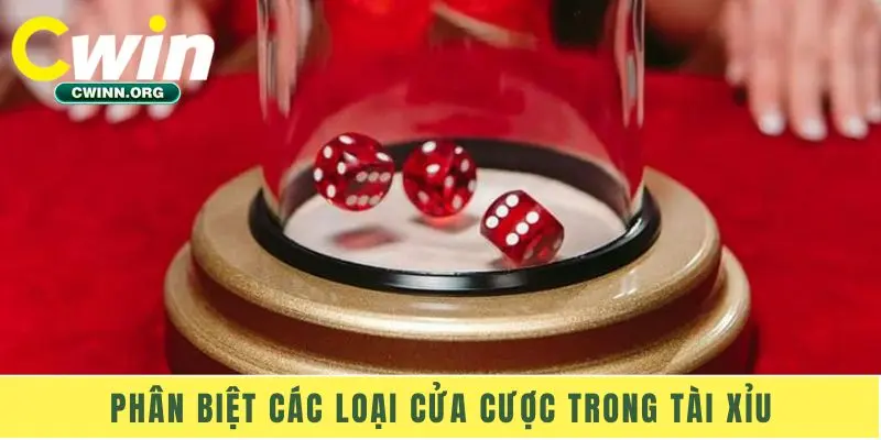 Phân biệt các loại cửa cược trong Tài Xỉu